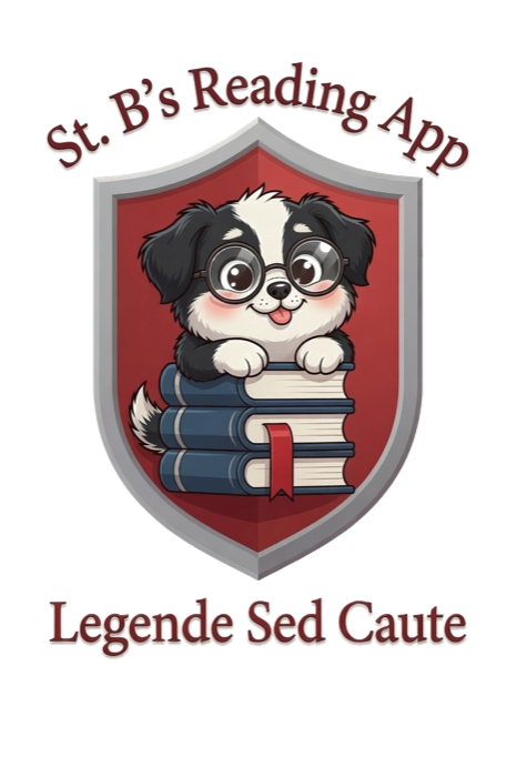 StB Reading logo